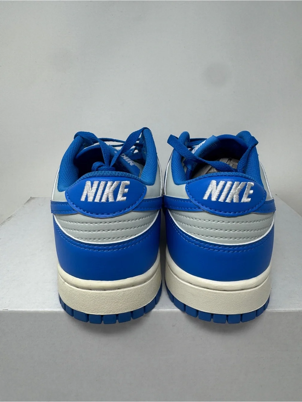 Mens Nike Dunks